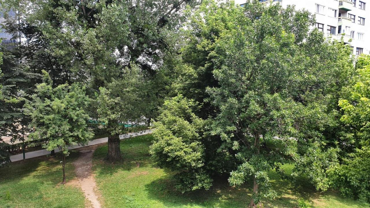 Ambijent apartman SJJ Buitenkant foto